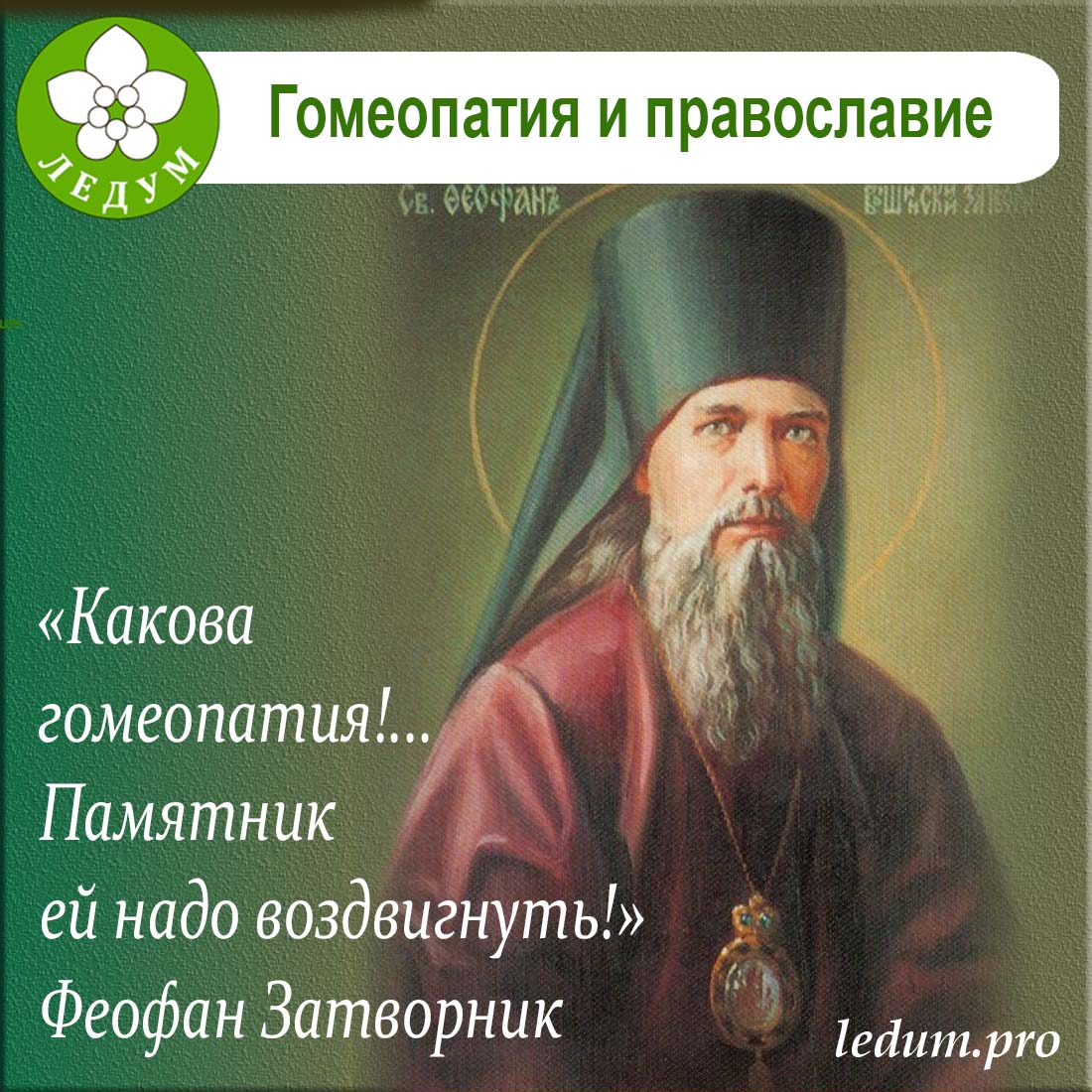 Гомеопатия и православие Феофан Затворник